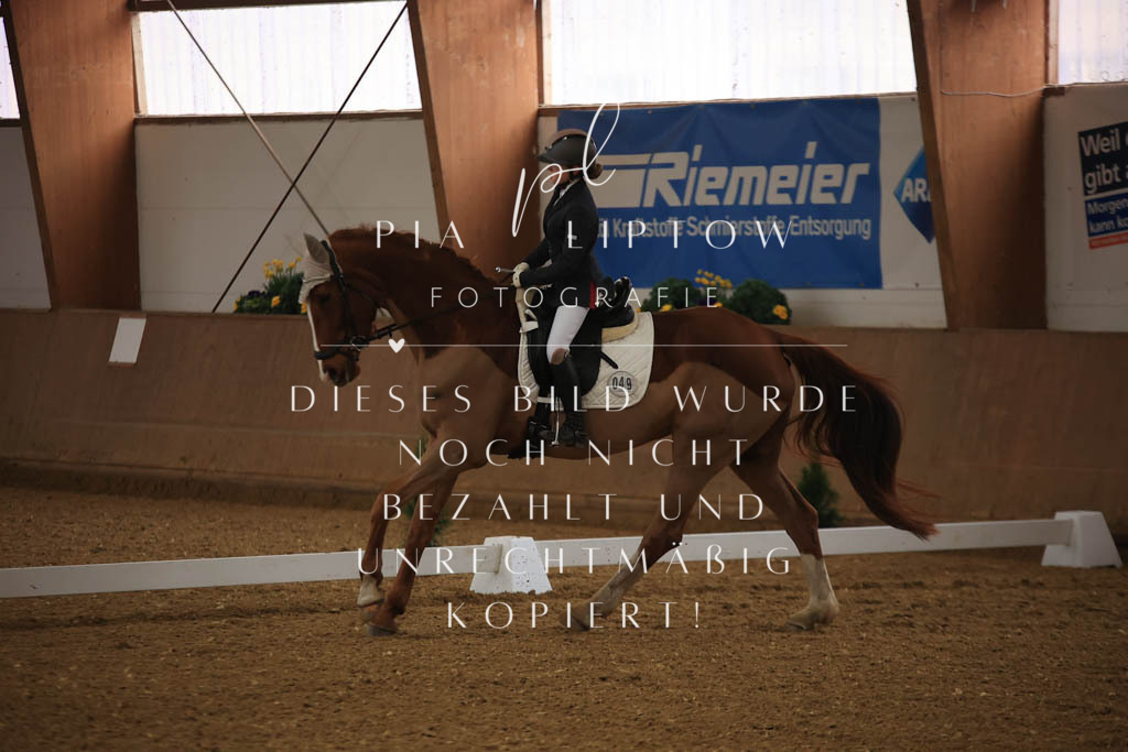 IMGT9986 | pl-fotografie