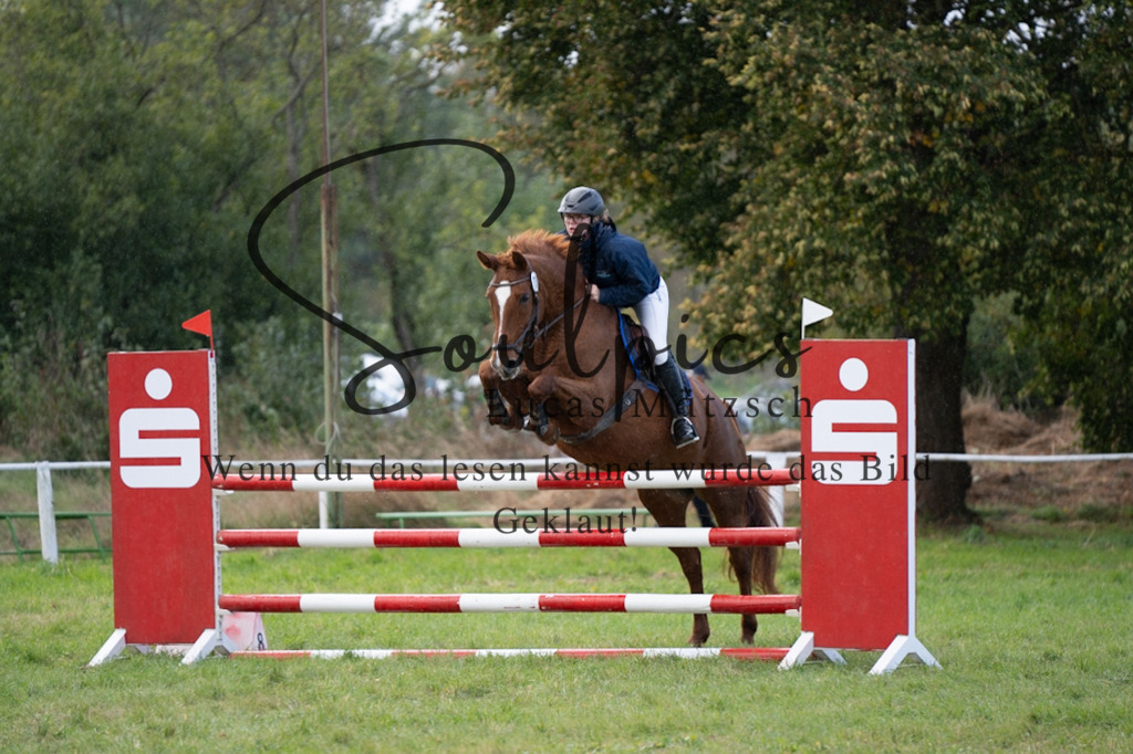 A7V06921 | Pferdefotograf