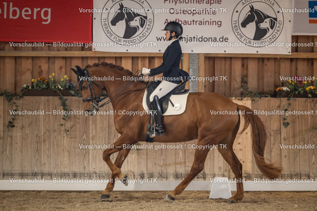 _D5A8950 | Emotionale Pferde- & People-Fotografie rund um Heidelberg, Leimen & Umgebung. Natürliche Fotos von Pferd, Mensch & Familie. Jetzt Termin sichern!