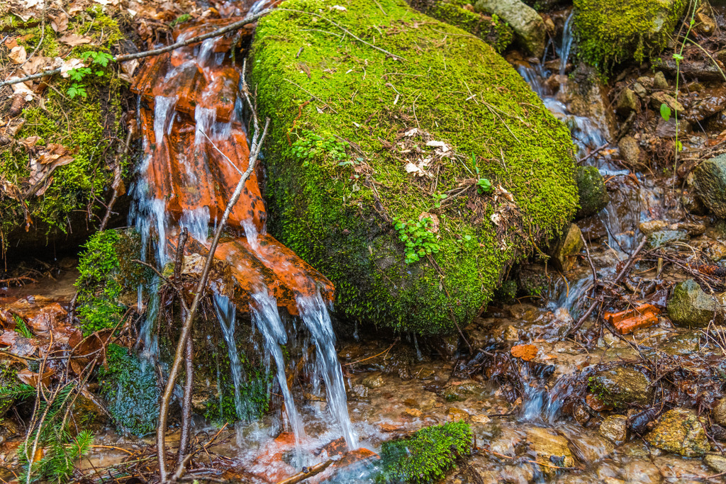 Kleines Bächlein im Wald | Kleines Bächlein im Wald - Realisiert mit Pictrs.com