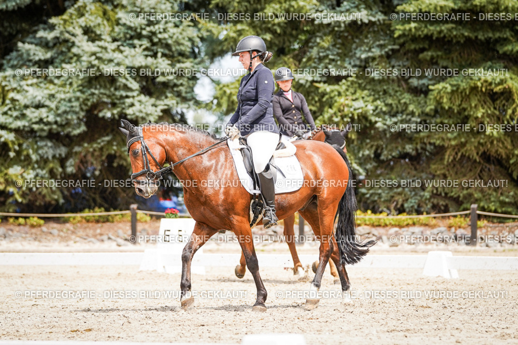 DSC03822 | Pferdegrafie