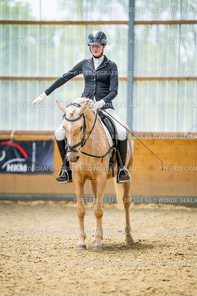 DSC04490 | Pferdegrafie