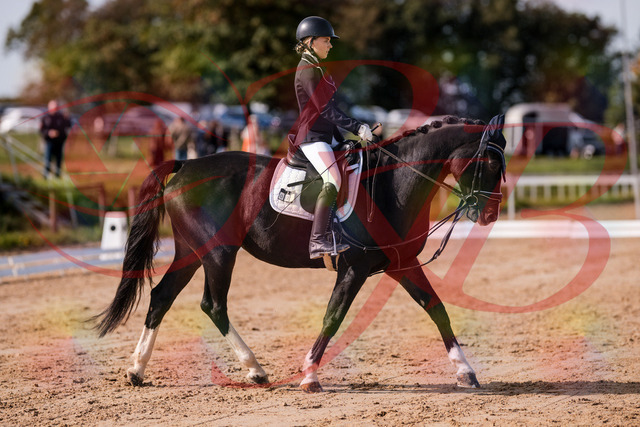 2026_10_03_Siefer-Hof_121428_Z81_16633804 | Professionelle Reitsport-, Turnier- und Eventfotografie von Robert Broda. Galerien mit ausgewählten und bearbeiteten Bildern direkt online ansehen und bestellen.