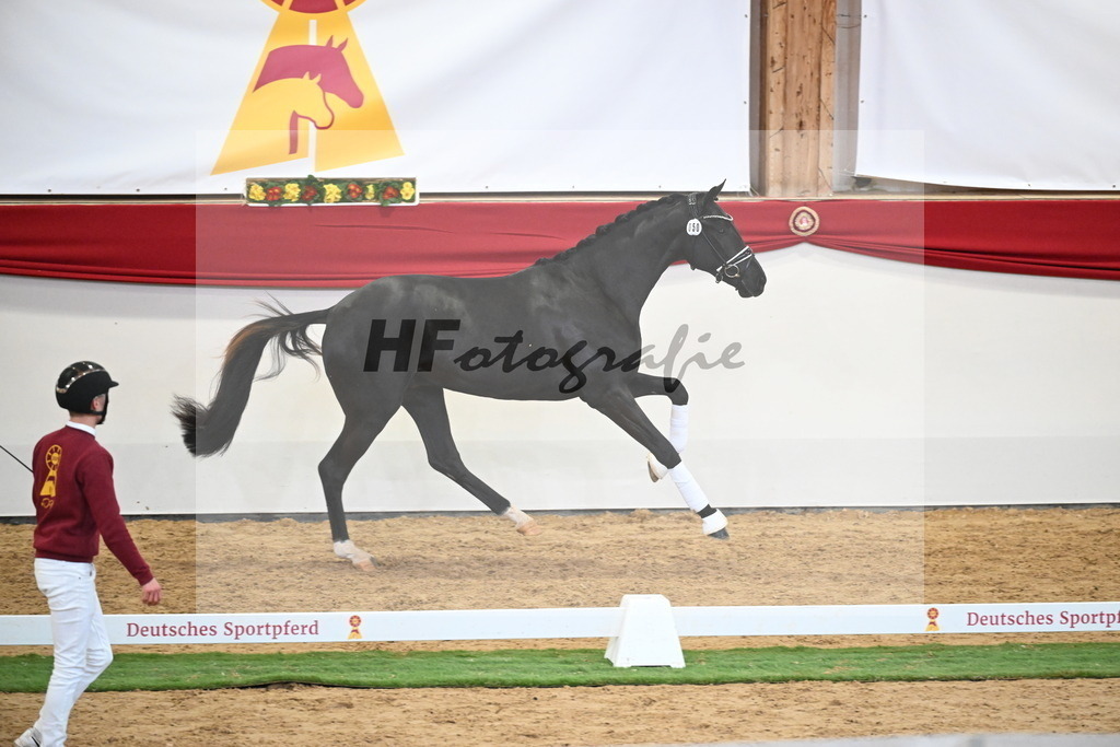 Kat.-Nr. 50 v. Donier_Meyer_2250188 | hf-fotografie - Realisiert mit Pictrs.com