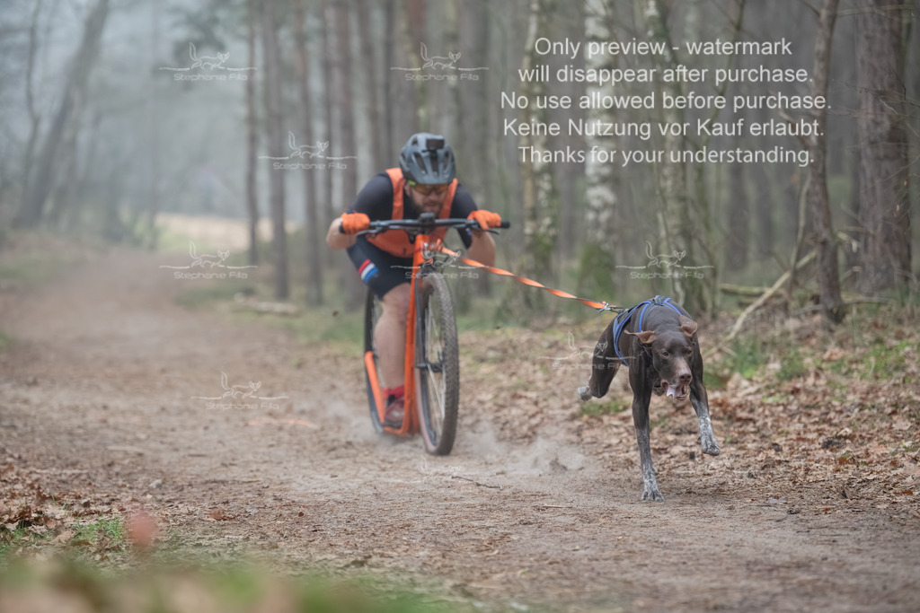 Scooter1-40 | stephaniefillaphotographie - Realisiert mit Pictrs.com