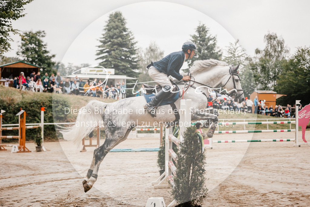 3I6A1914 | Stimmungsvolle Portraits und Reitsportfotografie im Ruhrgebiet und im Münsterland.

Pferdefotografie, Hundefotografie, Tierfotografie, Reportagen, Portraits von Tier und Mensch, Turnierfotografie in Bochum, Recklinghausen, Marl, Haltern am See, Dülmen.. - Realisiert mit Pictrs.com