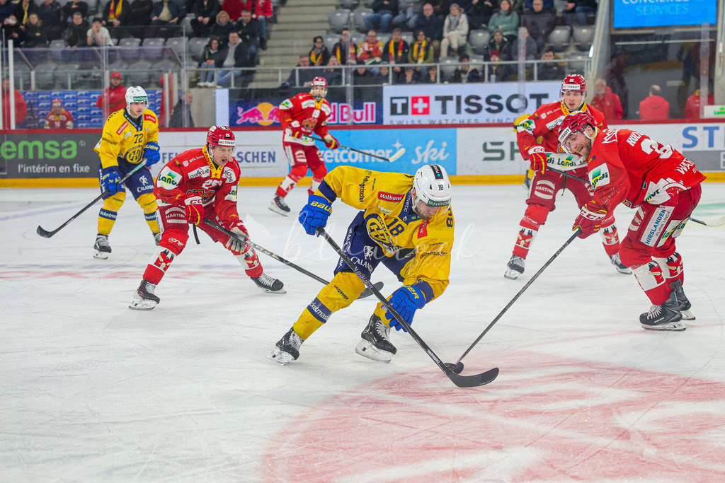 EHCB vs HCD 20260106_wb-0446 | Sportbilder, Sportfotograf, Hochzeits- und Eventfotografin, Flugshows, Portraits und Tiershooting, Aviation, Downhill, Nationalleague, Swissleague, International
