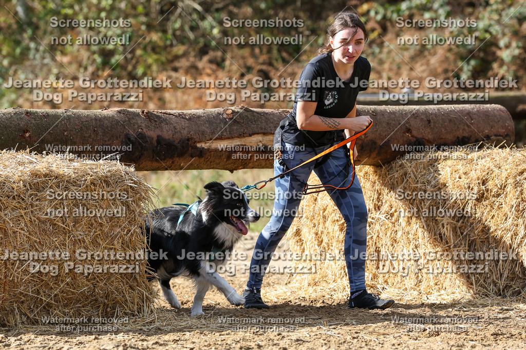 Dog Paparazzi - Strongdog 10-25-4964 | Dog Paparazzi Jeanette Grottendiek Fotografie & Videografie - Realisiert mit Pictrs.com