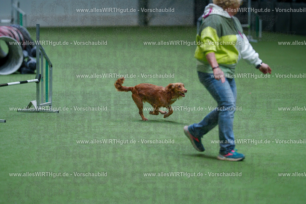 @allesWIRTHgut_Tierfotografie - www.allesWIRTHgut.de - 2604251117-7R500128 | Professionelle Tierfotografie in Mönchengladbach von Daniel Wirth (allesWIRTHgut). Liebevolle & natürliche Bilder von Hunden & Katzen für unvergessliche Erinnerungen.