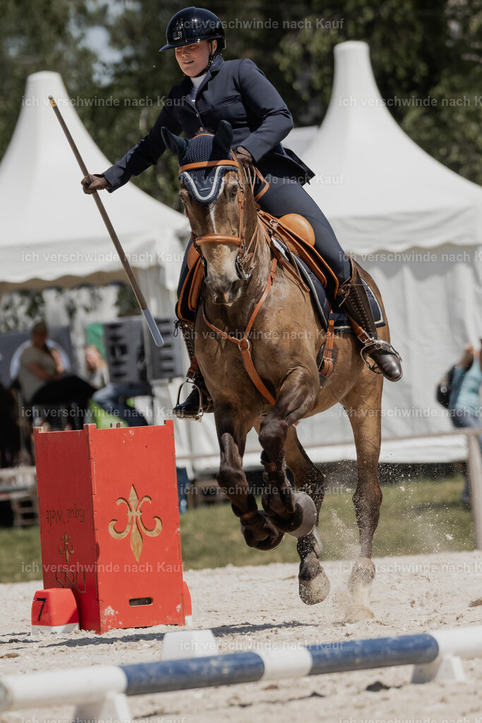 WE_SP_Stoib_329_PI2025_2015 | Pferd International München 2025