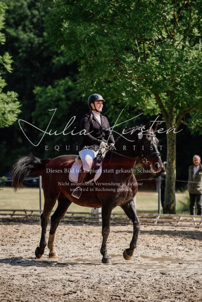 DSC_0166 | Pferde- und Turnierfotografie in Westsachsen. Pferdeportraits, Auftragszeichnungen und intuitive Kunst.