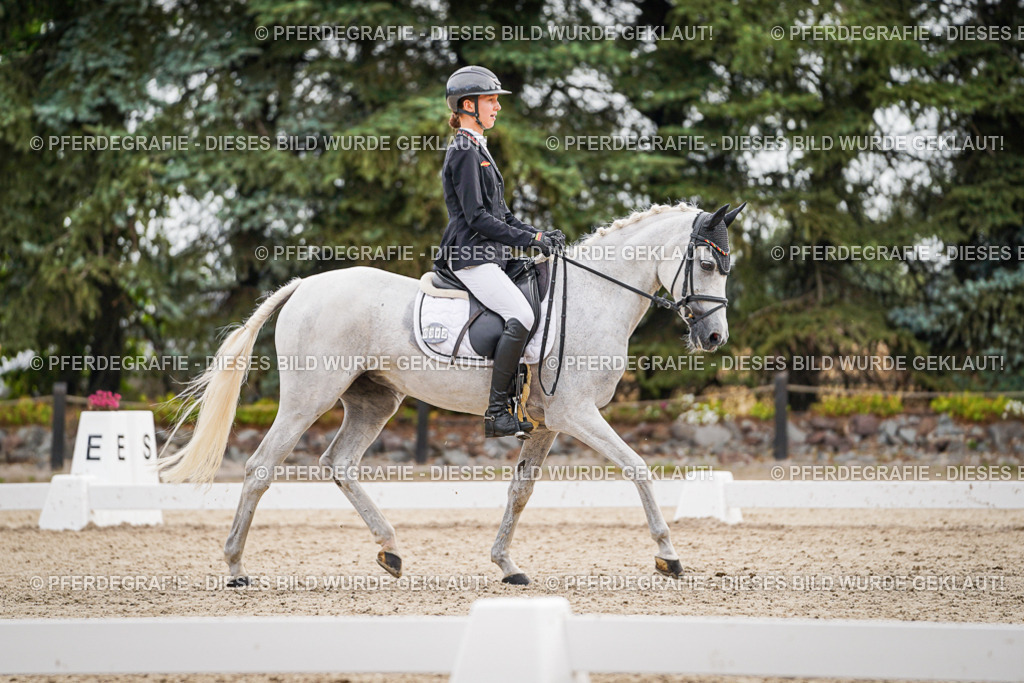 DSC02172 | Pferdegrafie