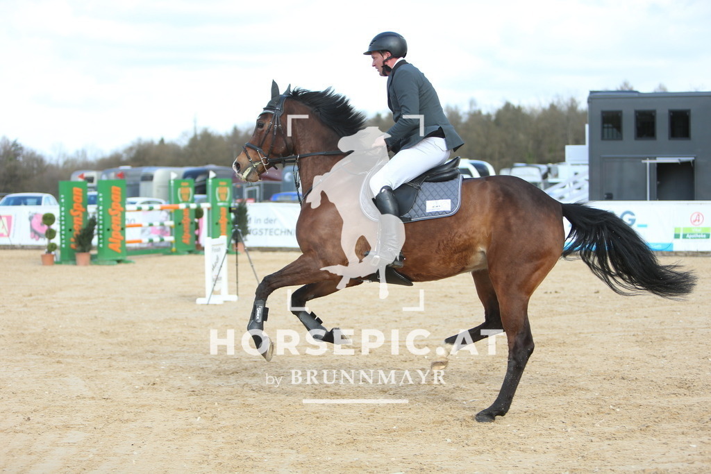 DL2Q0885 | Willkommen bei Brunnmayr - Design & Fotografie – Ihrem Spezialisten für Reitturniere und Pferdeveranstaltungen in Oberösterreich, Salzburg und Bayern! Seit über 17 Jahren sind wir leidenschaftlich dabei.