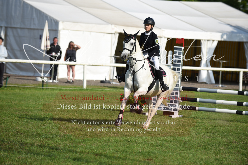 DSC_8652 | Pferde- und Turnierfotografie in Westsachsen. Pferdeportraits, Auftragszeichnungen und intuitive Kunst.