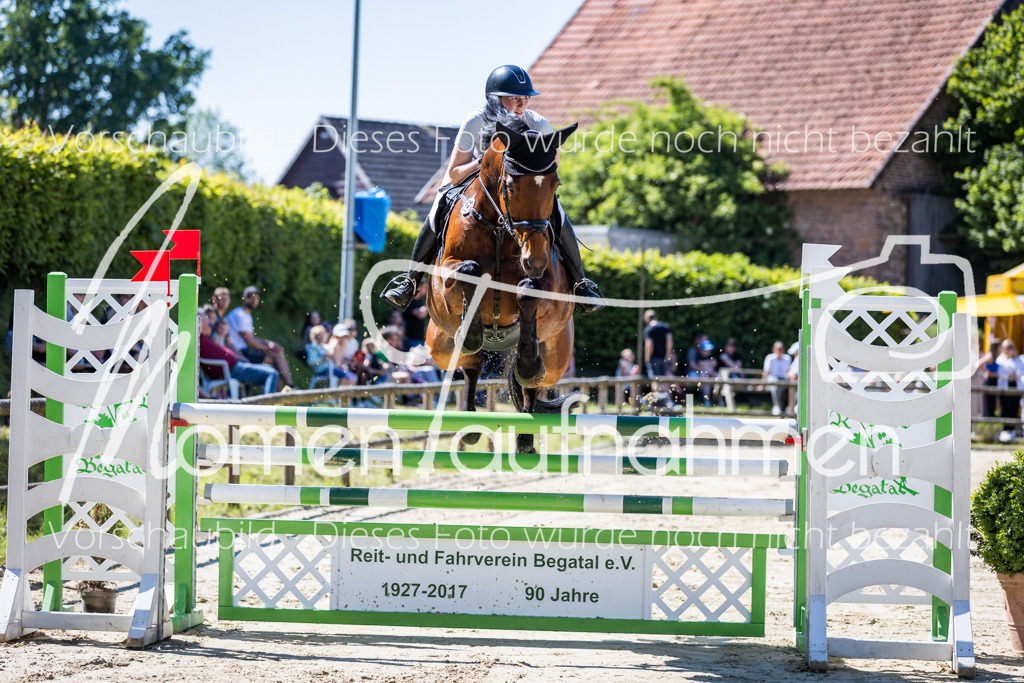 Donop24-M-Spr-070 | MomenTaufnahmen Pferdesportfotos