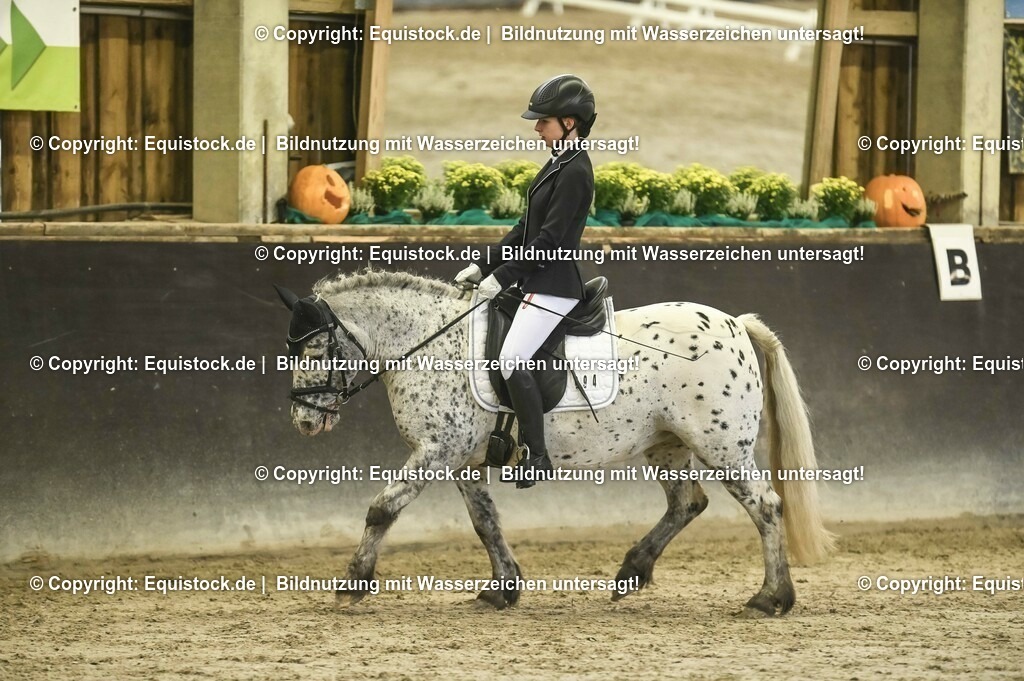 20231029_04_Dressur-WB_0357 | Foto: Thomas Hartig