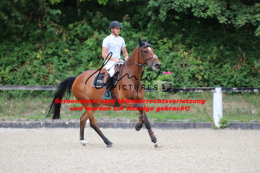 IMG_7698 | lmwpictures - Realisiert mit Pictrs.com