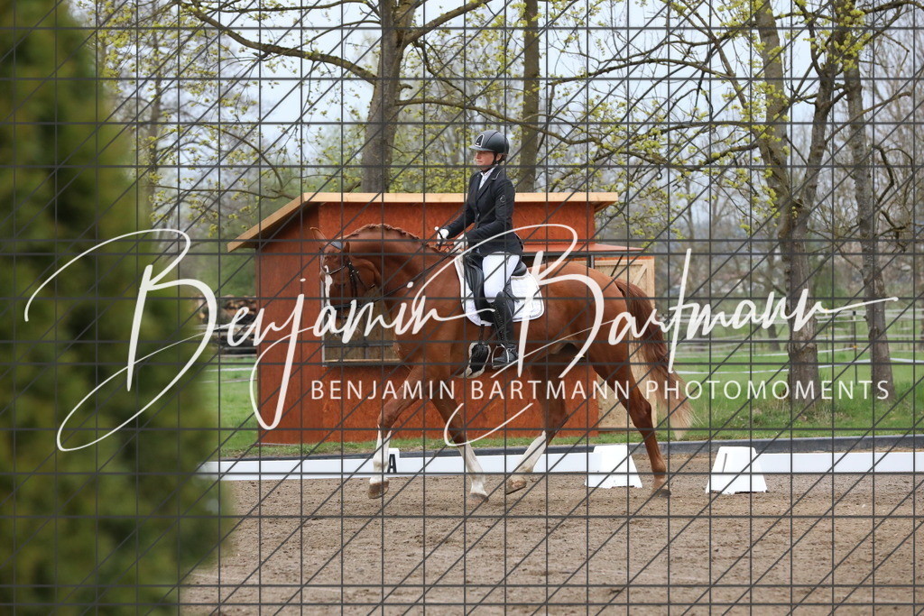 AZ2A7528 | Benjamin Bartmann Photomoments