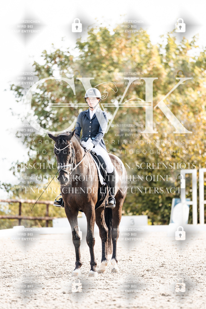 CK901160 | Turnierfotografie Pferdefotografie Trier Rheinland-Pfalz Pferdesport Reitsport Tierfotografie Sportfotografie Pferdevideo Pferdevideografie Equestrianvideography equestrianphotography  - Realisiert mit Pictrs.com