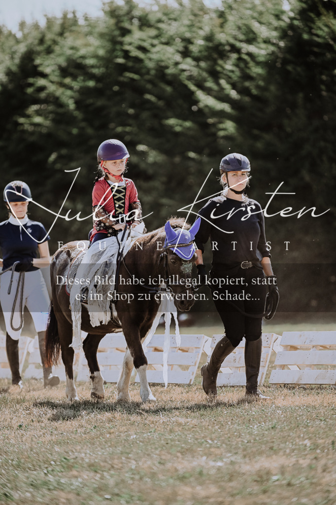 DSC_8833 | Pferde- und Turnierfotografie in Westsachsen. Pferdeportraits, Auftragszeichnungen und intuitive Kunst.