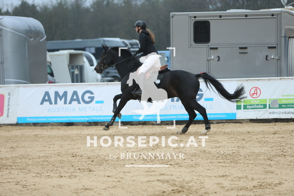 DL2Q7071 | Willkommen bei Brunnmayr - Design & Fotografie – Ihrem Spezialisten für Reitturniere und Pferdeveranstaltungen in Oberösterreich, Salzburg und Bayern! Seit über 17 Jahren sind wir leidenschaftlich dabei.