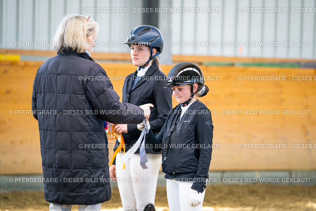 DSC01353 | Pferdegrafie