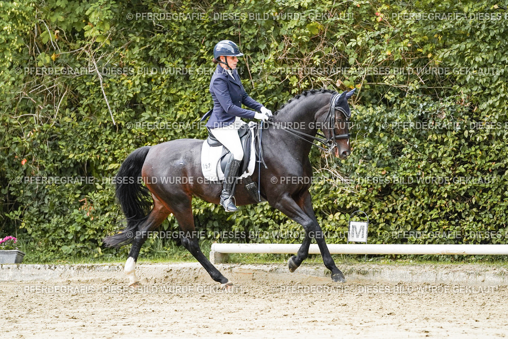 DSC06219 | Pferdegrafie