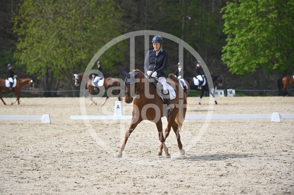 DSC_4516 | sattelsport - Realisiert mit Pictrs.com