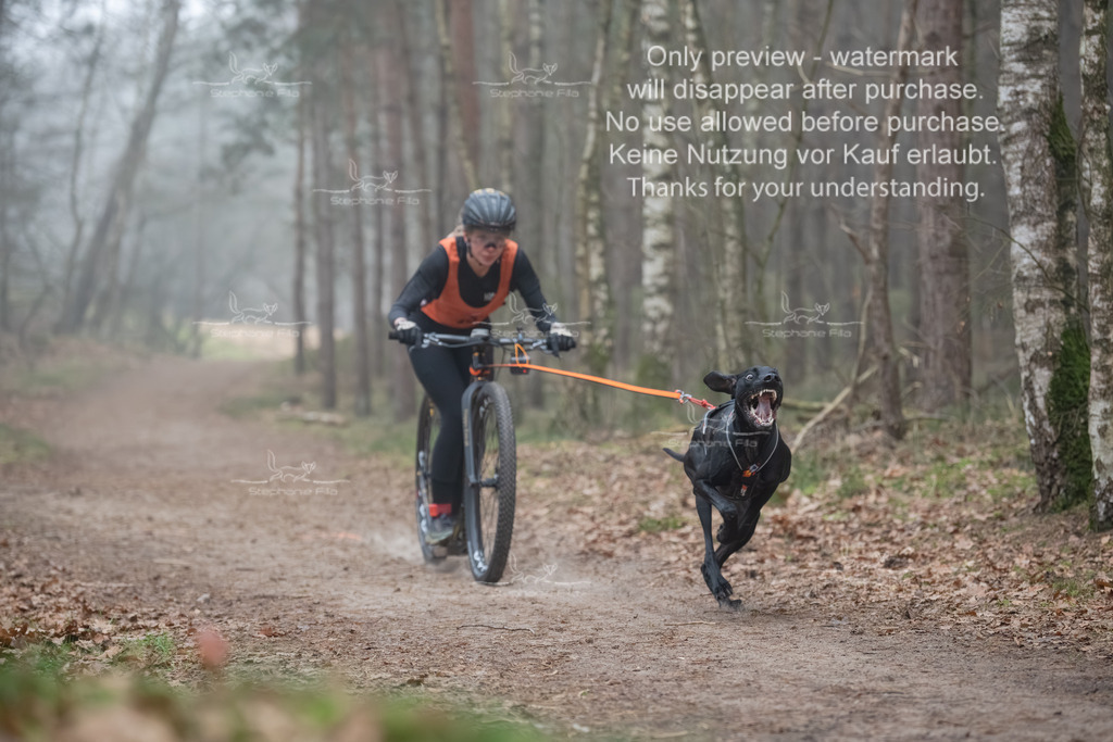 Scooter1-63 | stephaniefillaphotographie - Realisiert mit Pictrs.com