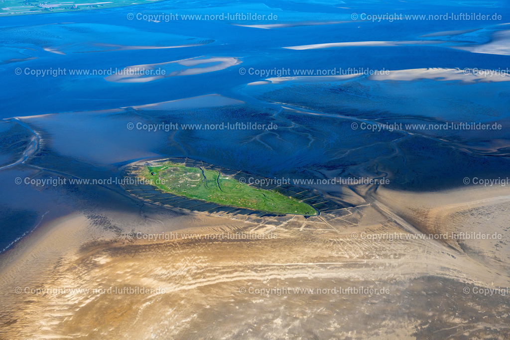 Norderoog_Hallig_ELS_1004300523 | NORDEROOG 30.05.2023 Küstenbereich und Naturschutzgebiet der Vogelfreistätte Hallig Norderoog im Bundesland Schleswig-Holstein, Deutschland. // Coastal area and nature reserve of the Hallig Norderoog bird sanctuary in the state Schleswig-Holstein, Germany. Foto: Martin Elsen