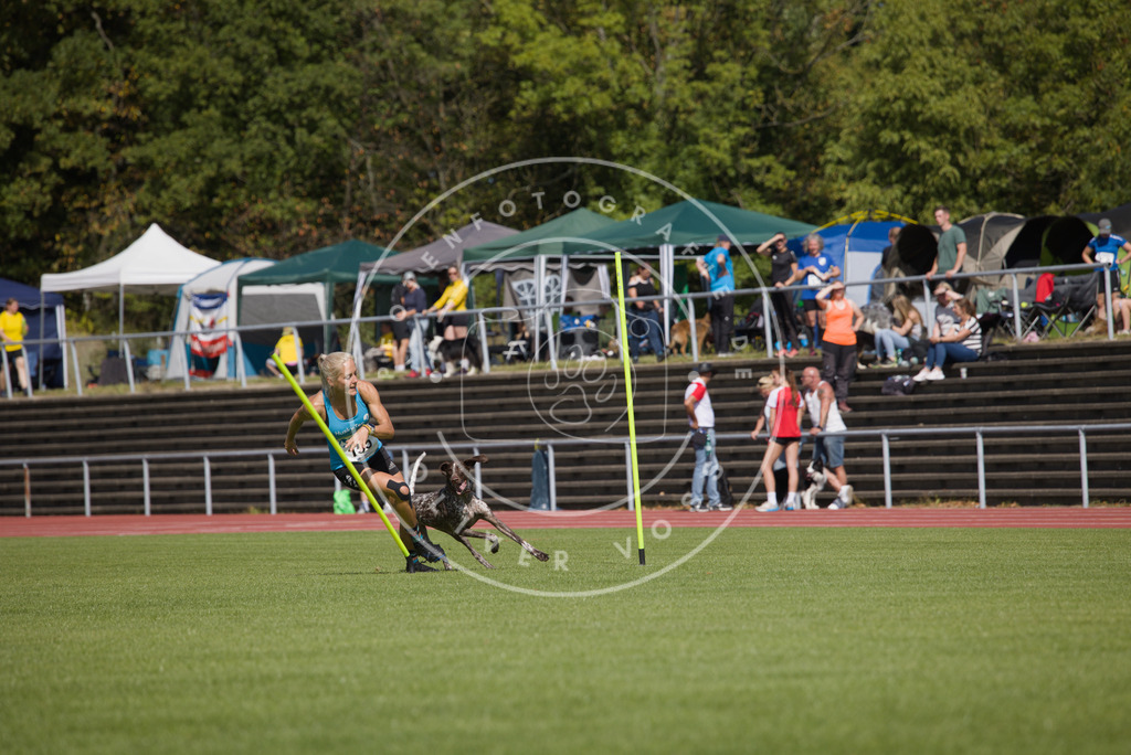 0L8A3192 | Hundefotografie, Tierfotograf, Pfotenfotografie, Fotoshooting Hund, Hunde Portrait, Hundesport, Hundeportraits, Heideshooting, Hunde, Sportfotograf, Hundefotograf, Turnierhundsport, THS,  - Realisiert mit Pictrs.com