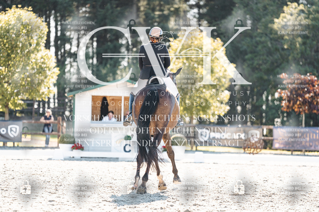 CK906120 | Turnierfotografie Pferdefotografie Trier Rheinland-Pfalz Pferdesport Reitsport Tierfotografie Sportfotografie Pferdevideo Pferdevideografie Equestrianvideography equestrianphotography  - Realisiert mit Pictrs.com