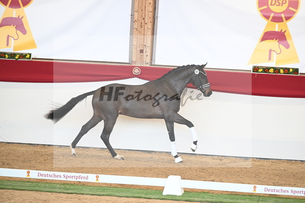 Kat.-Nr. 87 v. Vitalis_Berger _ Beckmann_2250950 | hf-fotografie - Realisiert mit Pictrs.com