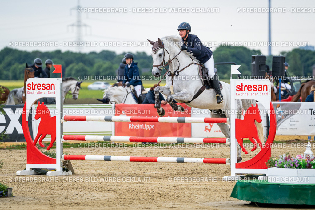 DSC05532 | Pferdegrafie