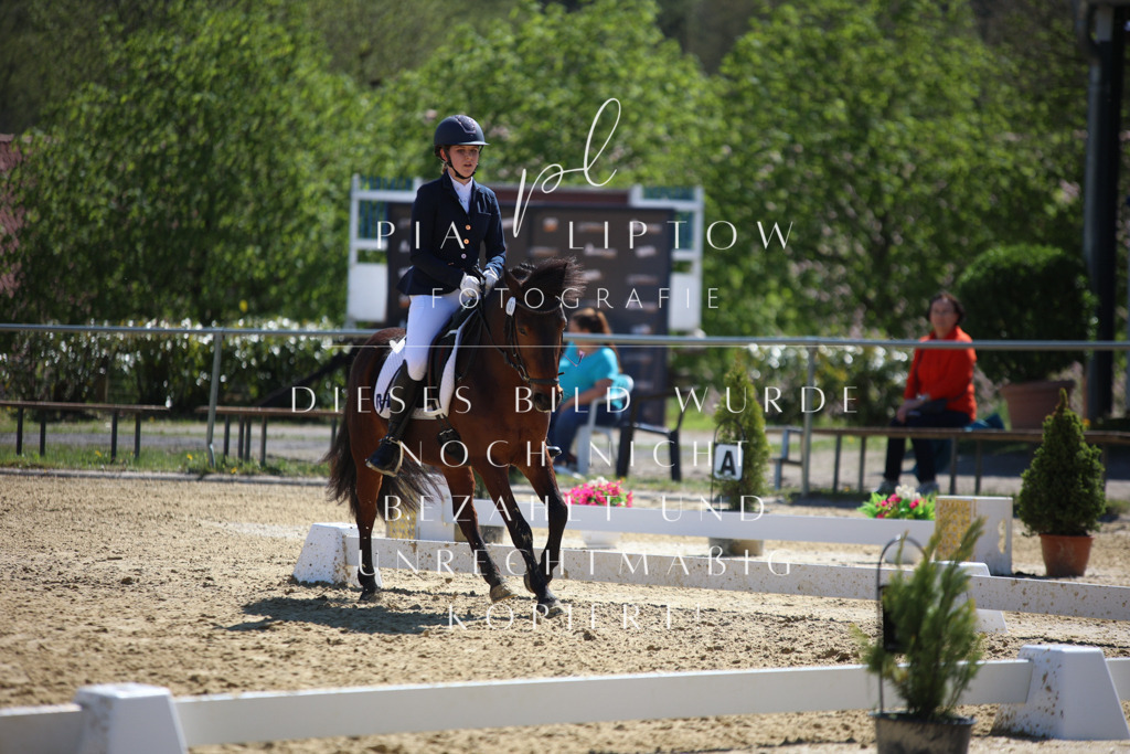 IMGT7692 | pl-fotografie