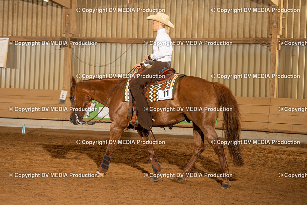 NID01235 | dv-media-shop - Realisiert mit Pictrs.com