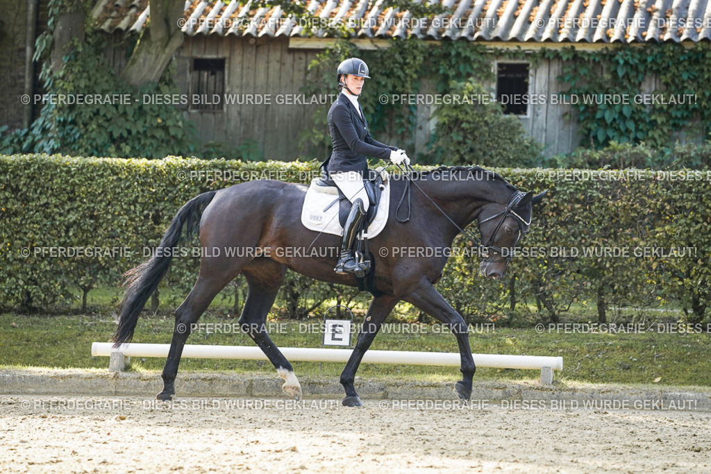 DSC05629 | Pferdegrafie