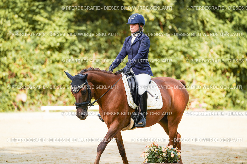 DSC02302 | Pferdegrafie