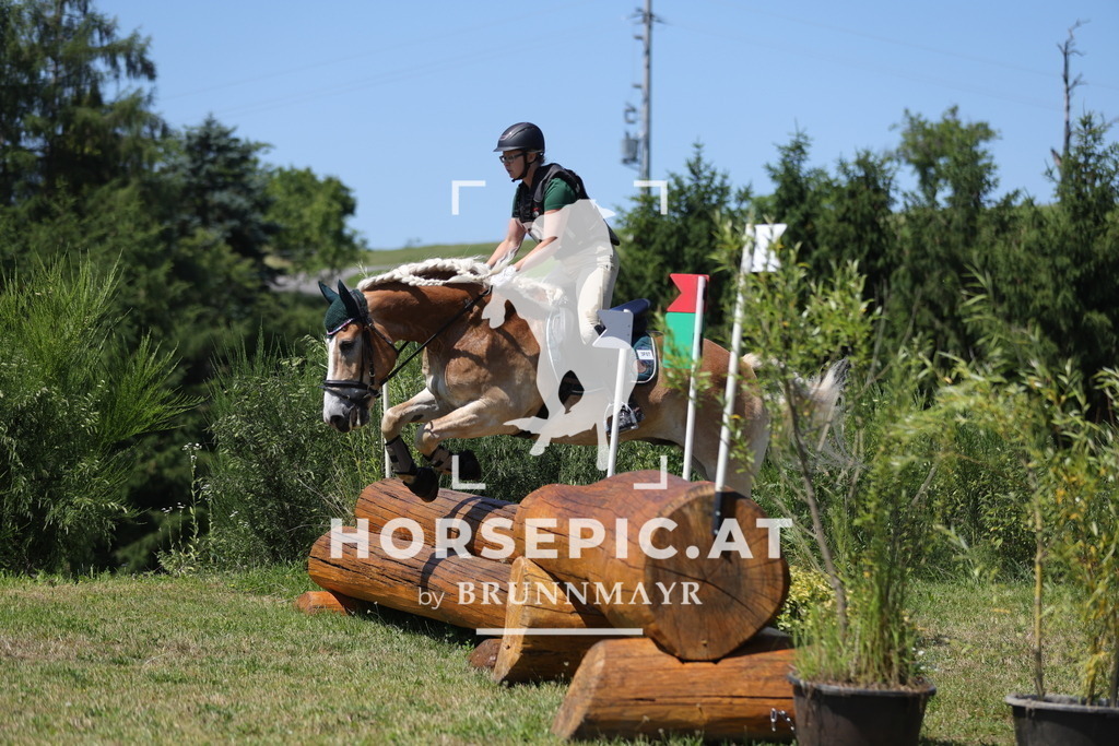 0P6A3768 | Willkommen bei Brunnmayr - Design & Fotografie – Ihrem Spezialisten für Reitturniere und Pferdeveranstaltungen in Oberösterreich, Salzburg und Bayern! Seit über 17 Jahren sind wir leidenschaftlich dabei.