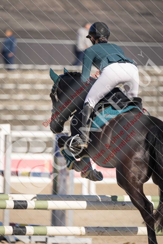 IMG_3105 | Sport-, Event- und Tierfotos in Profiqualität. Einfach auswählen, bestellen und herunterladen. Dein Moment – perfekt festgehalten.