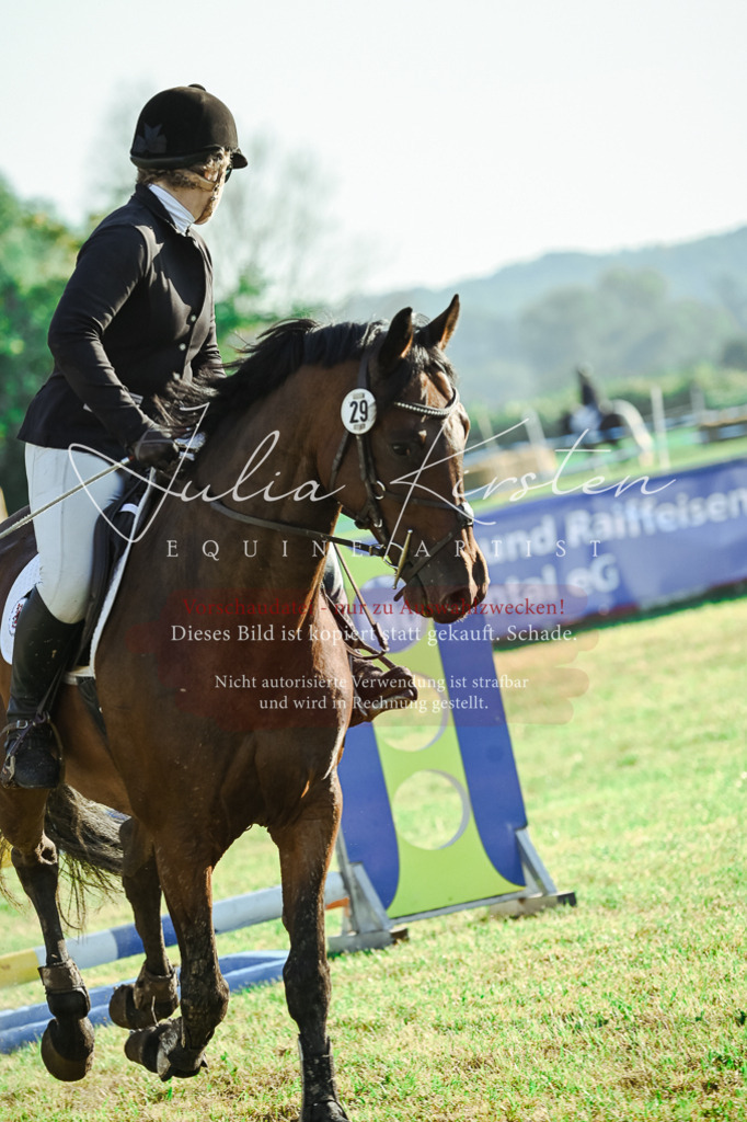 DSC_4358 | Pferde- und Turnierfotografie in Westsachsen. Pferdeportraits, Auftragszeichnungen und intuitive Kunst.