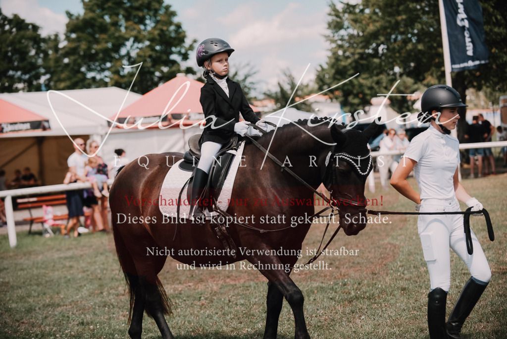 DSC_6101 | Pferde- und Turnierfotografie in Westsachsen. Pferdeportraits, Auftragszeichnungen und intuitive Kunst.