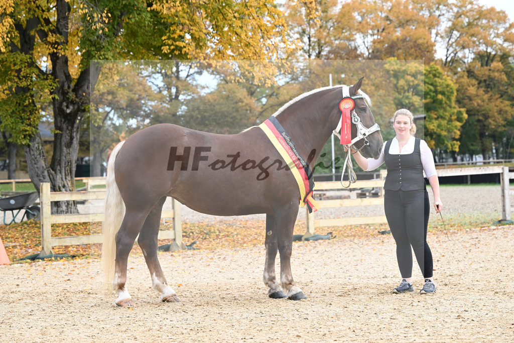 Kat-Nr. 56 Monamour_Buechl_53223022 | hf-fotografie - Realisiert mit Pictrs.com