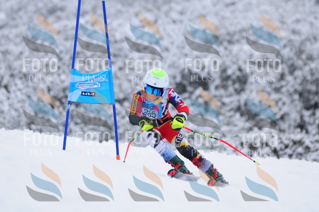 C2993 | holidayphoto