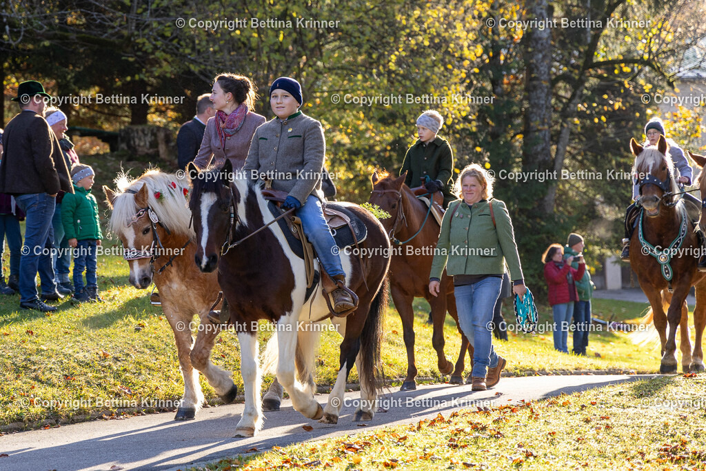 LL24-214 | foto-bettina-krinner - Realisiert mit Pictrs.com