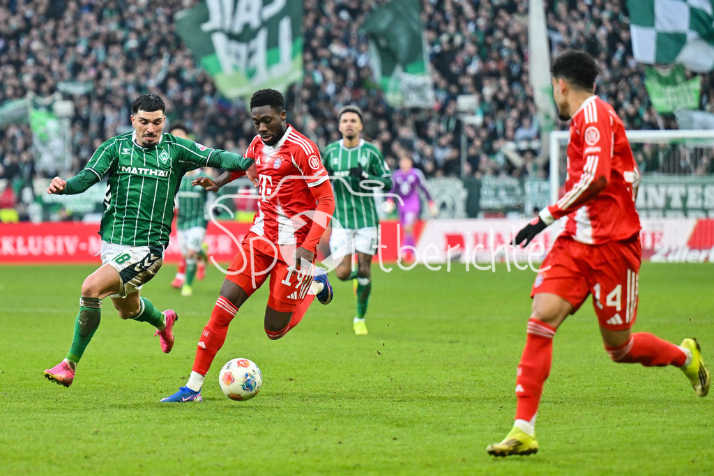 SV Werder Bremen - FC Bayern München | BREMEN, GERMANY - 14. FEBRUARY: im Duell Cameron PUERTAS CASTRO (SV Werder Bremen 18) und Alphonso DAVIES (FC Bayern Munich 19) während dem Bundesligamatch zwischen dem SV Werder Bremen und dem FC Bayern München am 22. Spieltag im Weserstadion / DFL REGULATIONS PROHIBIT ANY USE OF PHOTOGRAPHS AS IMAGE SEQUENCES AND/OR QUASI-VIDEO