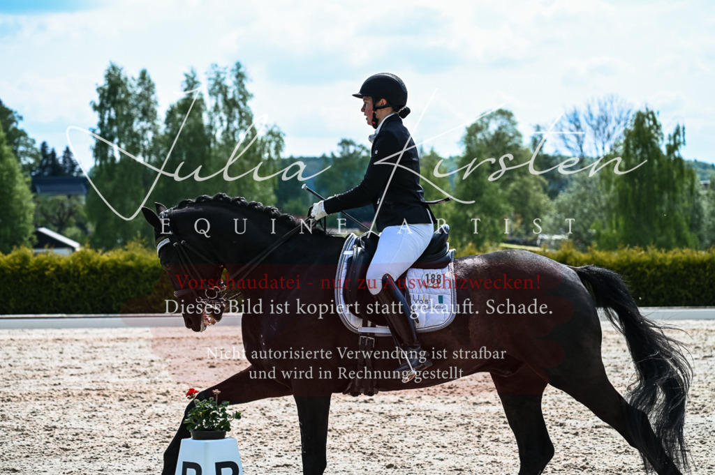 20230513_JK-Röhrsdorf-10-0652 | Pferde- und Turnierfotografie in Westsachsen. Pferdeportraits, Auftragszeichnungen und intuitive Kunst.