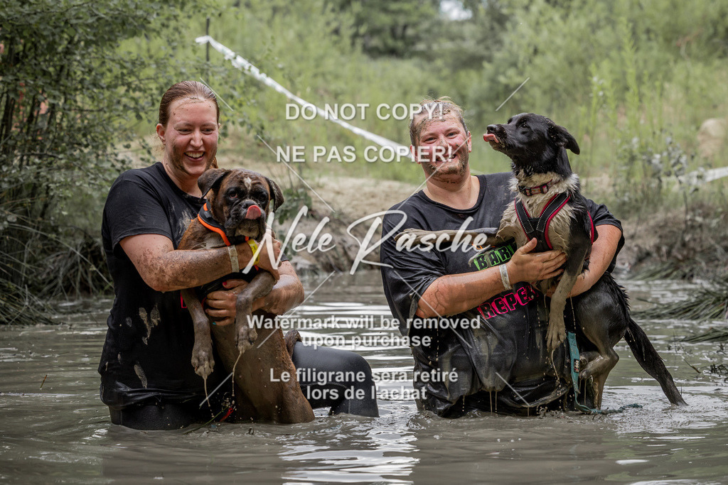 nelerasche_so1515-1530_294 | nelerasche
