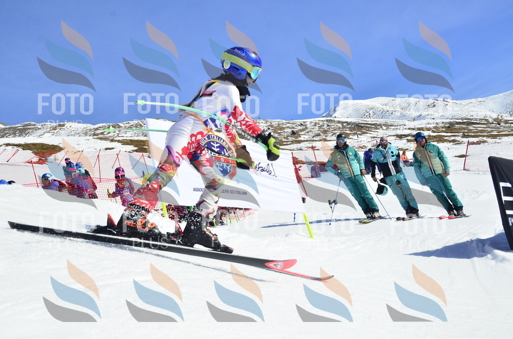 _ELE0186 | holidayphoto