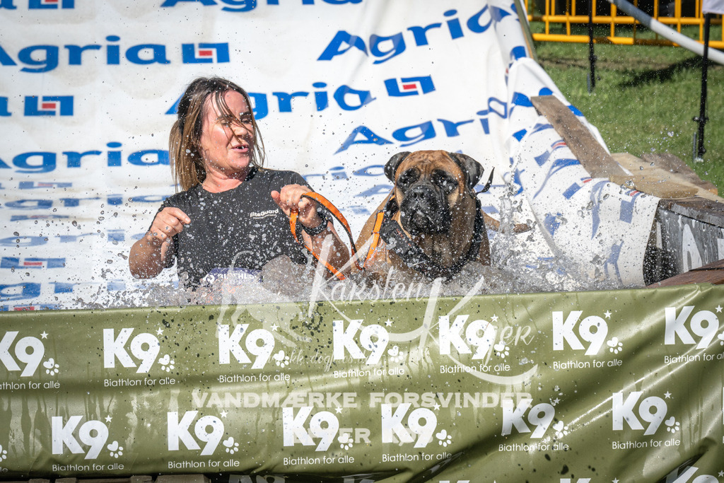 1611_ZZ99196 | kk-dogfotos